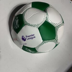 Premier League Green and White Soccer Ball by